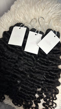 BURMESE CURLY