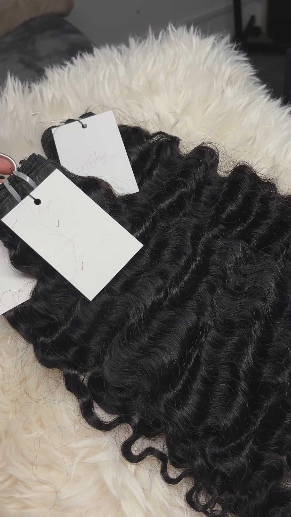 BURMESE CURLY